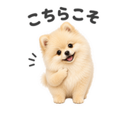 856707980