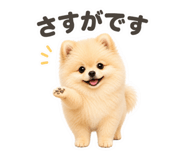 856707997