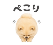 856708005