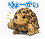 856708899