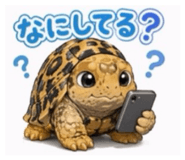 856708903