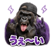 856709025