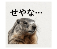 856709289