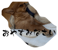 856709387