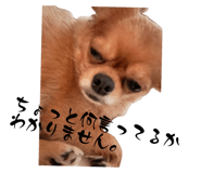 856709388