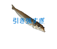 856709961