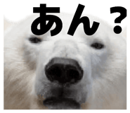 856710298