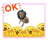 856710996