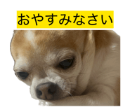 856710999
