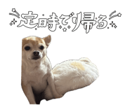 856711004