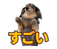 856711330