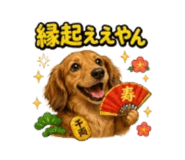 856711442