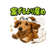 856711445