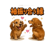 856711455