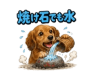 856711456