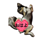 856712155