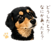 856713256