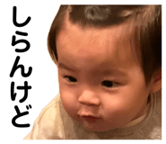 856714122