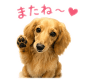 856714349
