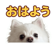 856714354
