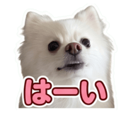 856714358