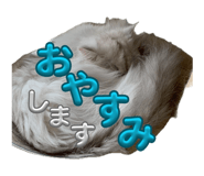 856714444