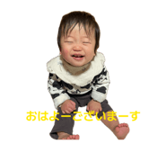 856714461