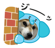 856714484