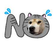 856714485