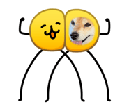 856714491