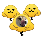 856714494
