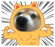 856714496