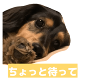 856714743