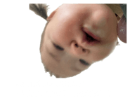 856715868