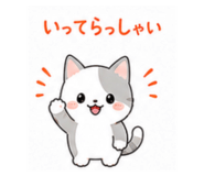 856716067