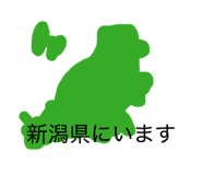 856716877