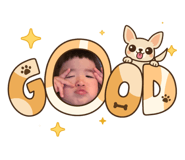 856716990