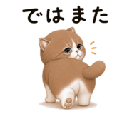 856717142