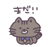 856717537