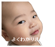 856717619