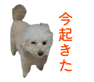 856717772
