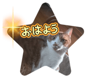 856718141