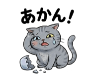 856718540