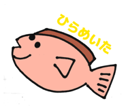 856718781