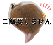 856718940
