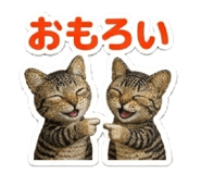 856719029