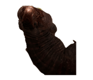 856720210
