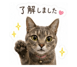 856721145