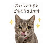 856721151