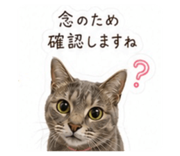 856721162